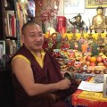 11 – Khenpo Gyurme